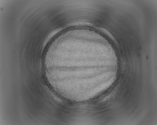 X0000077310831200611101431