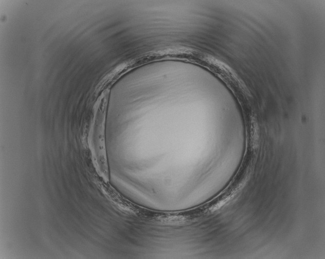 X0000077310833200611101431