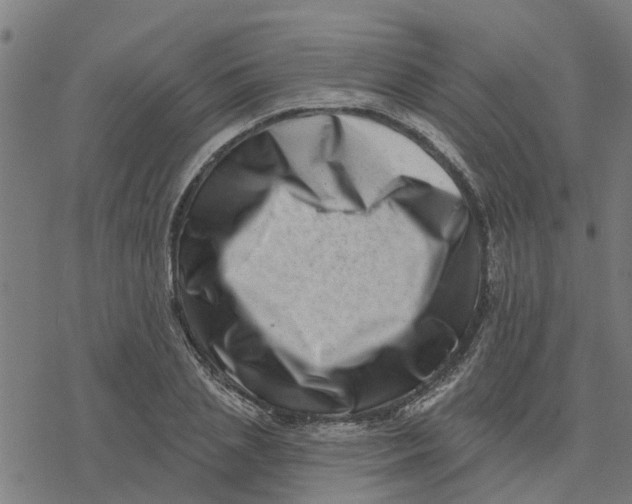 X0000077310837200611101431