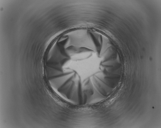 X0000077310838200611101431