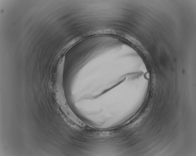 X0000077310841200611101431