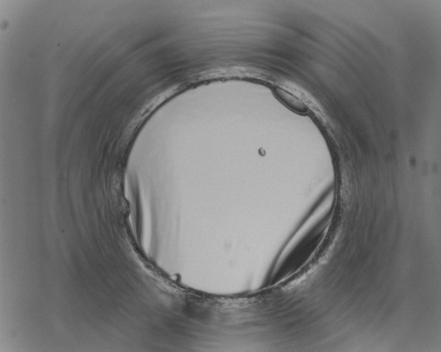X0000077310849200611101431