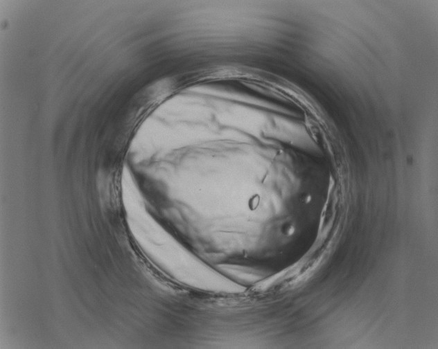 X0000077310857200611101431