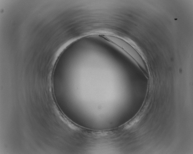 X0000077310862200611101431