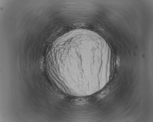 X0000077310867200611101430