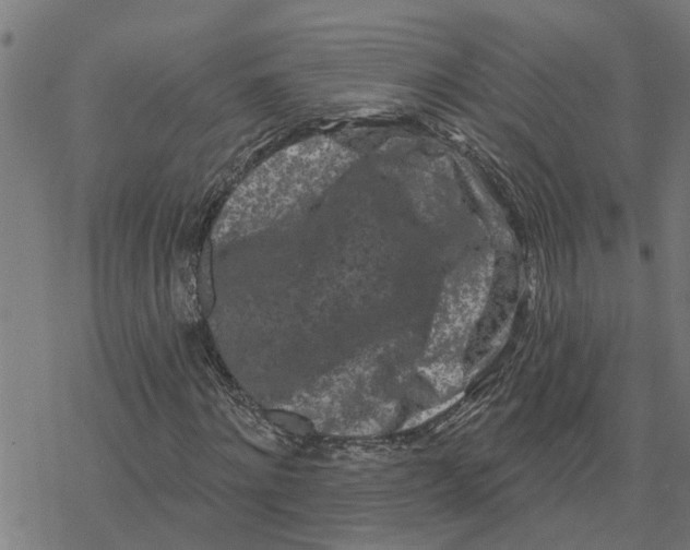X0000077310868200611101430