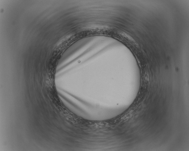 X0000077310869200611101430