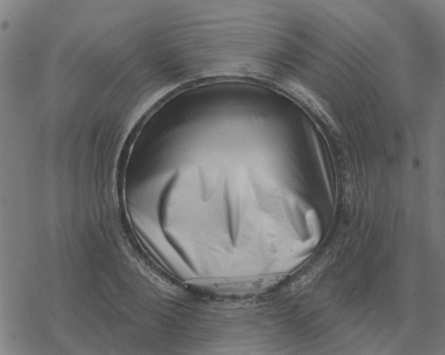 X0000077310884200611101430