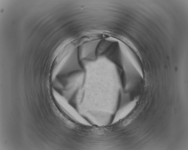 X0000077310906200611101430