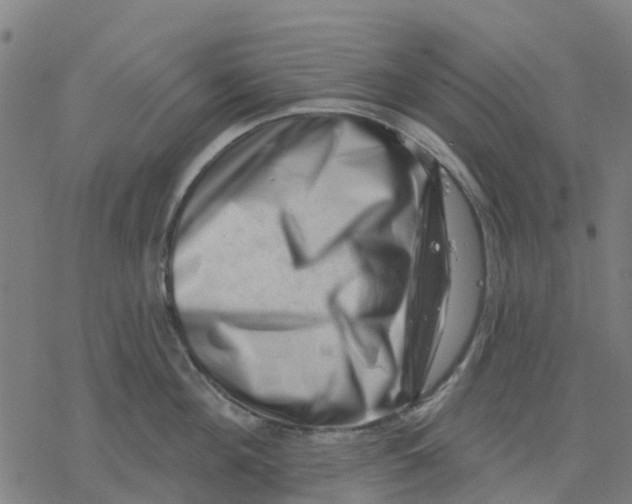 X0000077310908200611101430