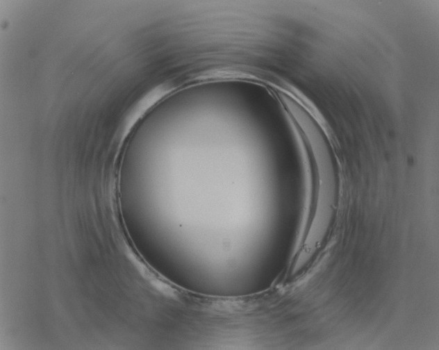 X0000077310909200611101430