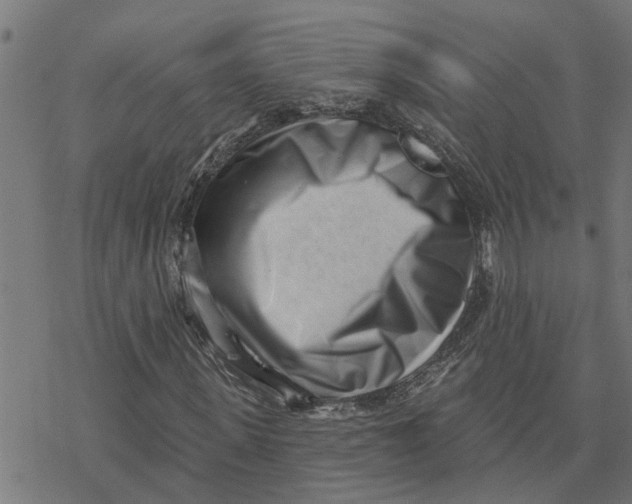 X0000077310915200611101429