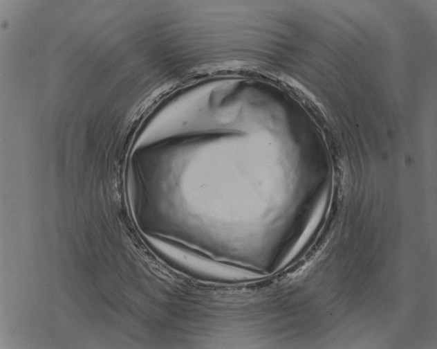 X0000077310921200611101429
