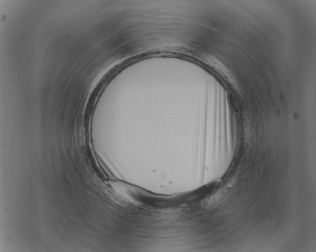 X0000077310924200611101429