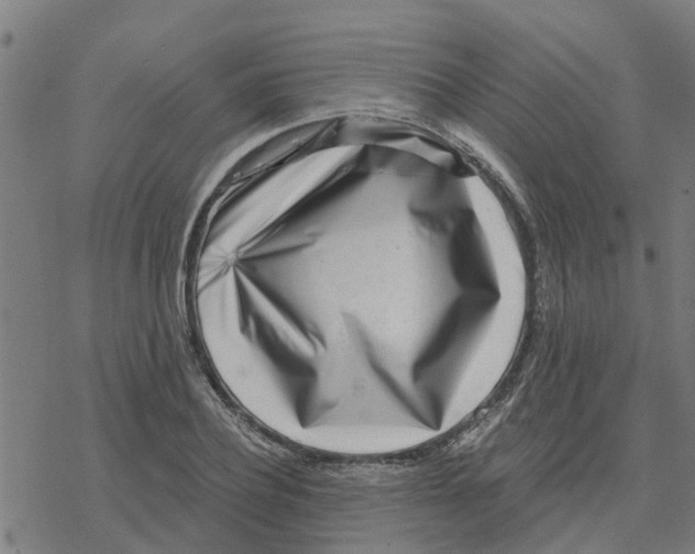 X0000077310932200611101429