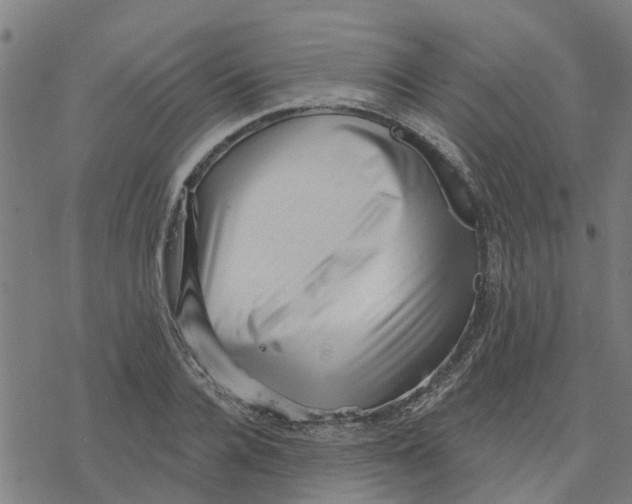 X0000077310936200611101429