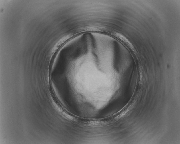 X0000077310938200611101429