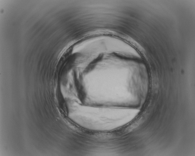 X0000077310953200611101430
