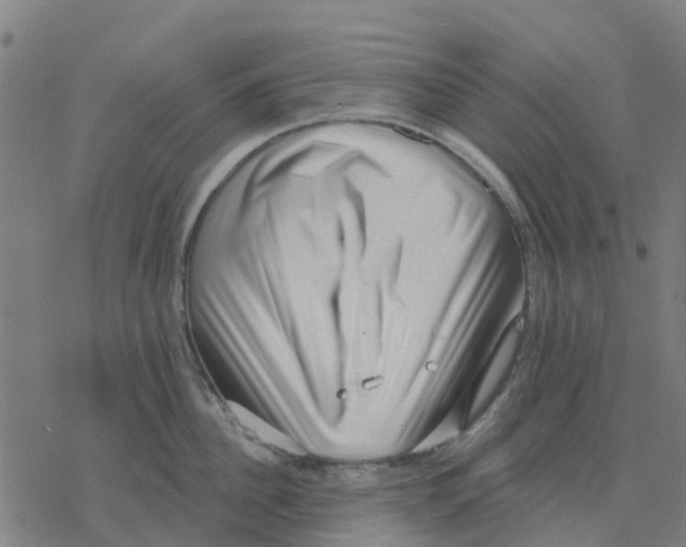 X0000077310956200611101430