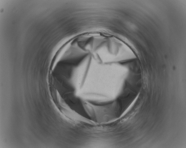 X0000077310959200611101430