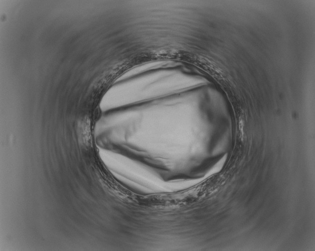 X0000077310963200611101429