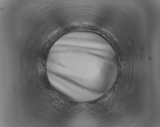 X0000077310966200611101429