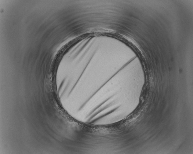 X0000077310971200611101429