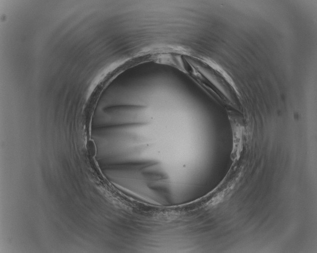 X0000077310973200611101429