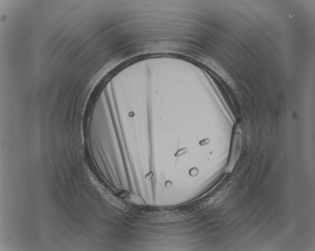 X0000077310980200611101429