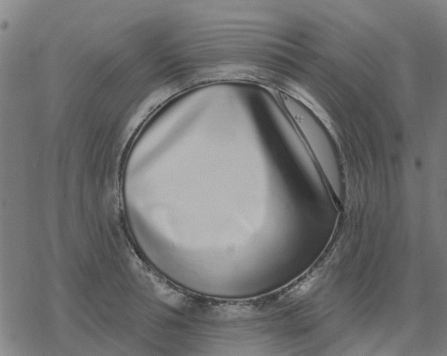 X0000077310994200611101428
