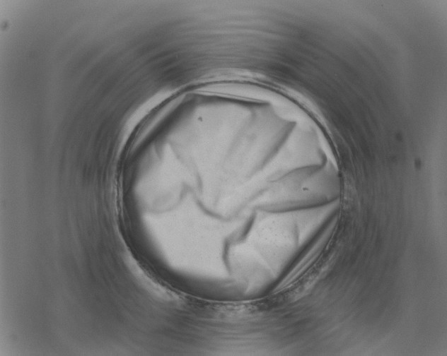 X0000077311003200611101428