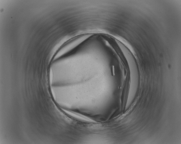 X0000077311006200611101428