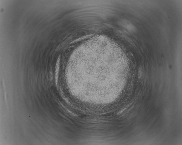 X0000077311011200611101427