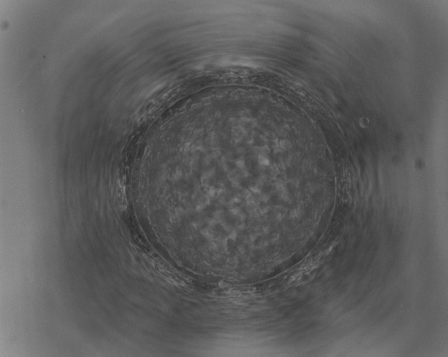 X0000077311013200611101427