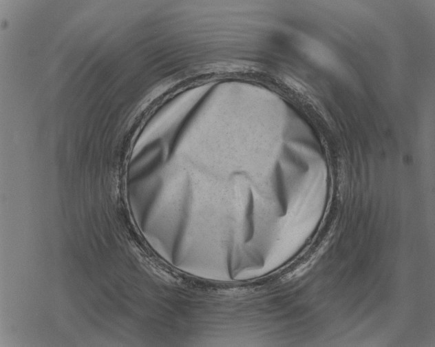 X0000077311017200611101428