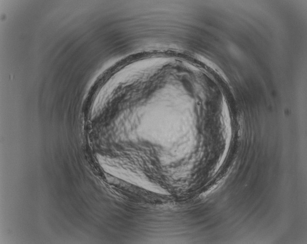 X0000077311021200611101428