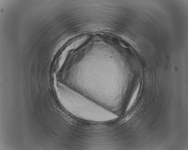 X0000077311023200611101428