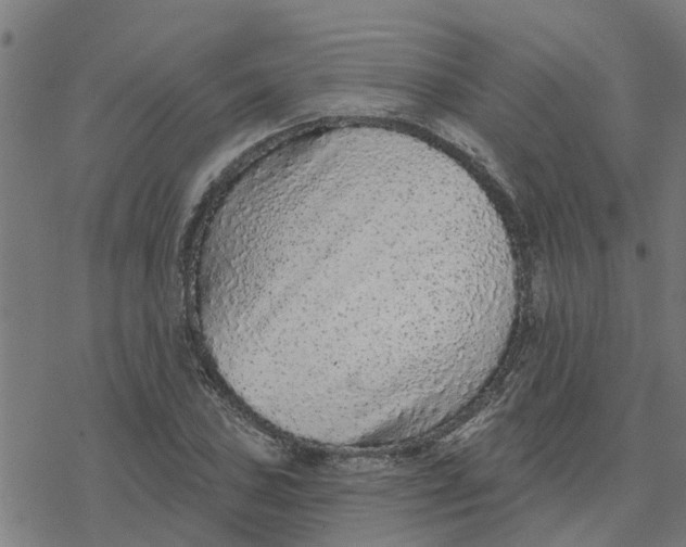X0000077311027200611101428