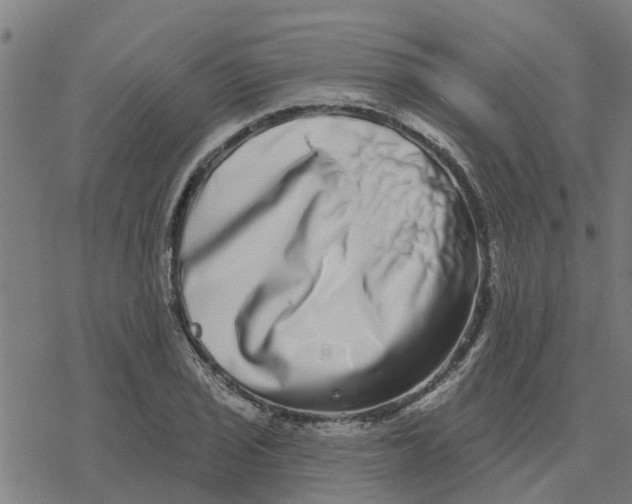 X0000077311029200611101428