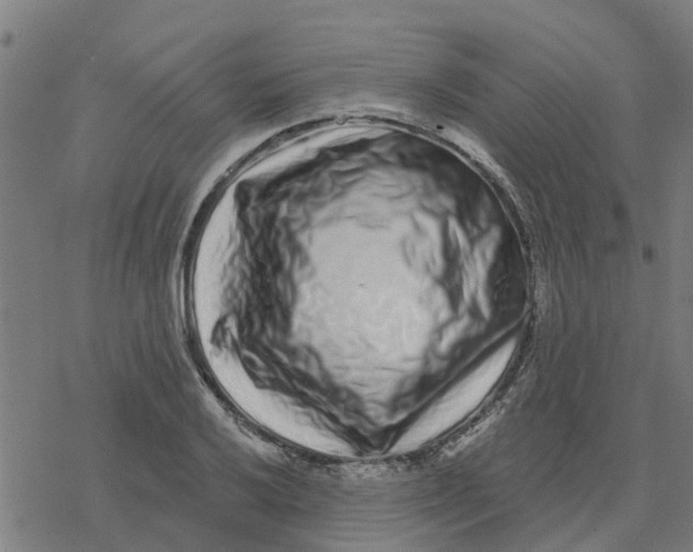 X0000077311032200611101428
