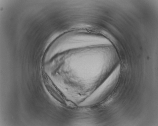 X0000077311055200611101428