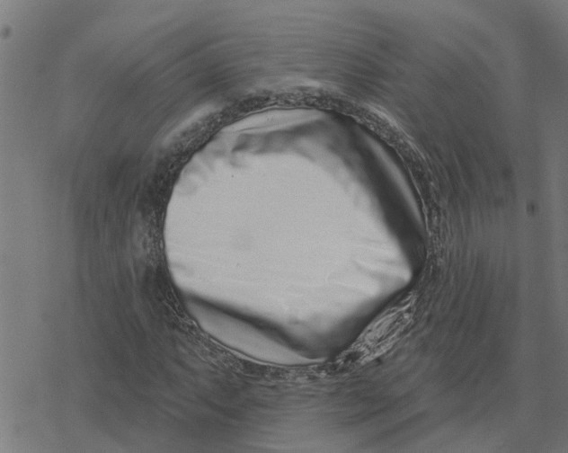X0000077311063200611101427