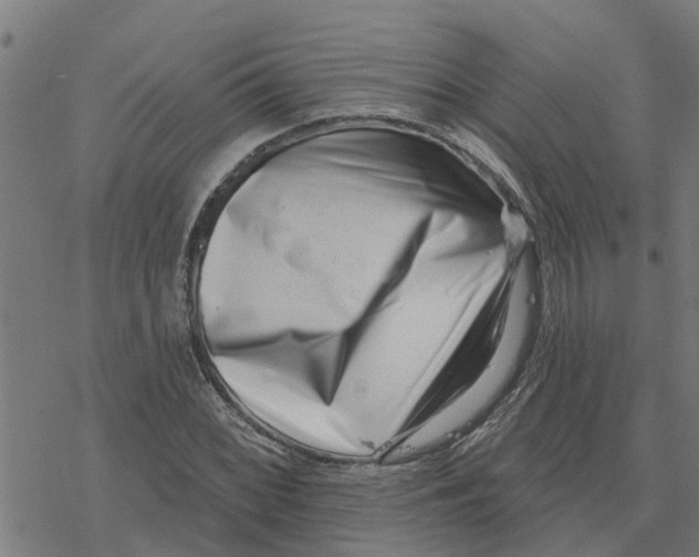 X0000077311068200611101427