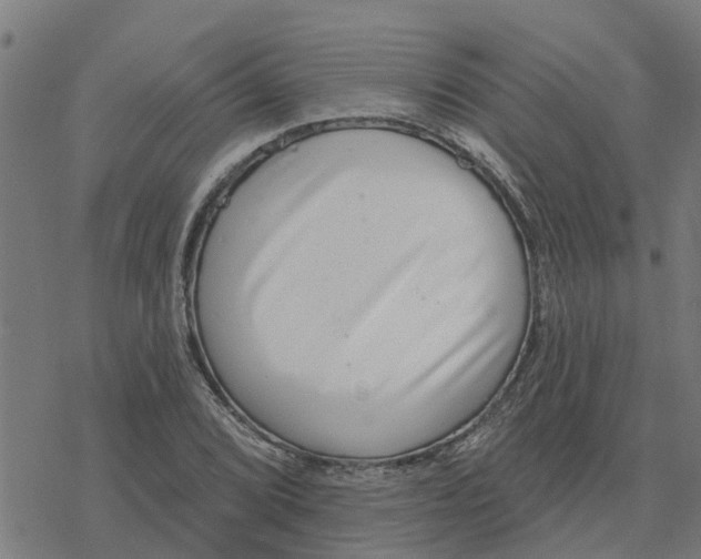 X0000077311072200611101427