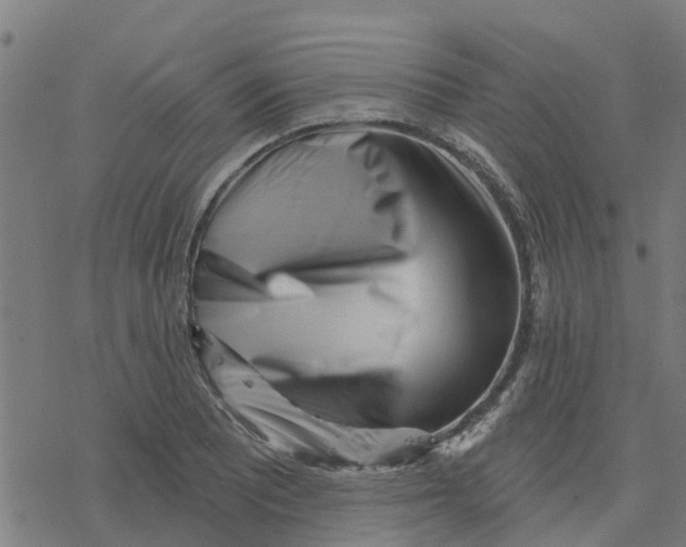 X0000077311081200611101427