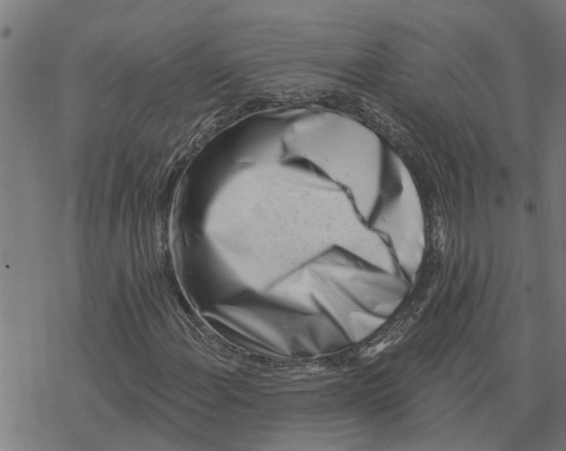 X0000077311108200611101426