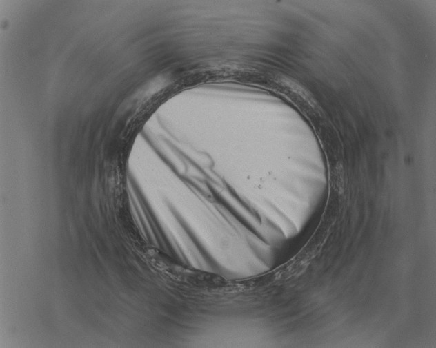 X0000077311111200611101426
