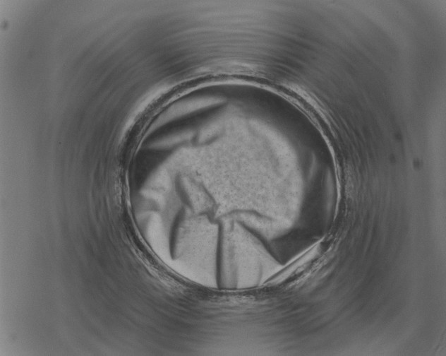 X0000077311115200611101426