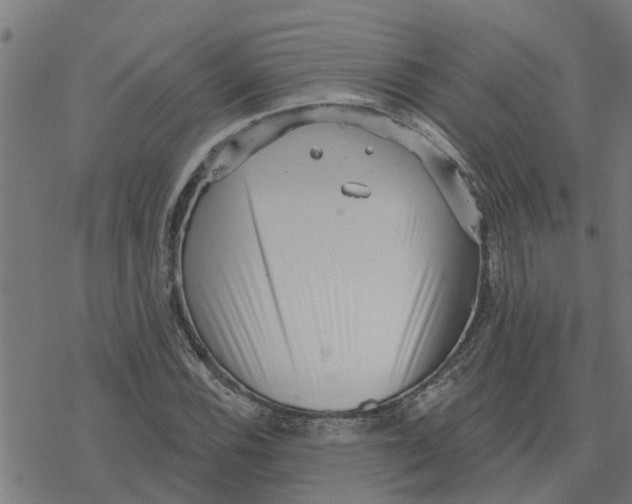 X0000077311116200611101426