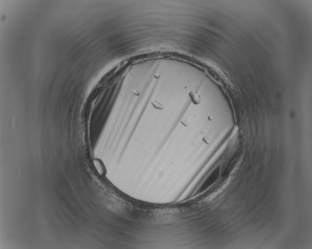 X0000077311118200611101426